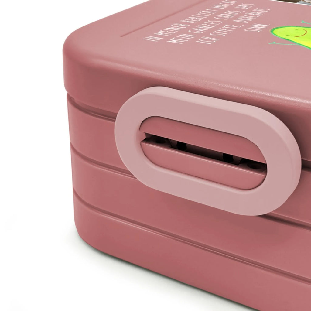 MEPAL Foto Bentobox Avocado Glücklich Foto Brotdose, Foto Lunchbox, Foto Bentobox, Avocado, Veggie, Vegan, Gesund, Chaos