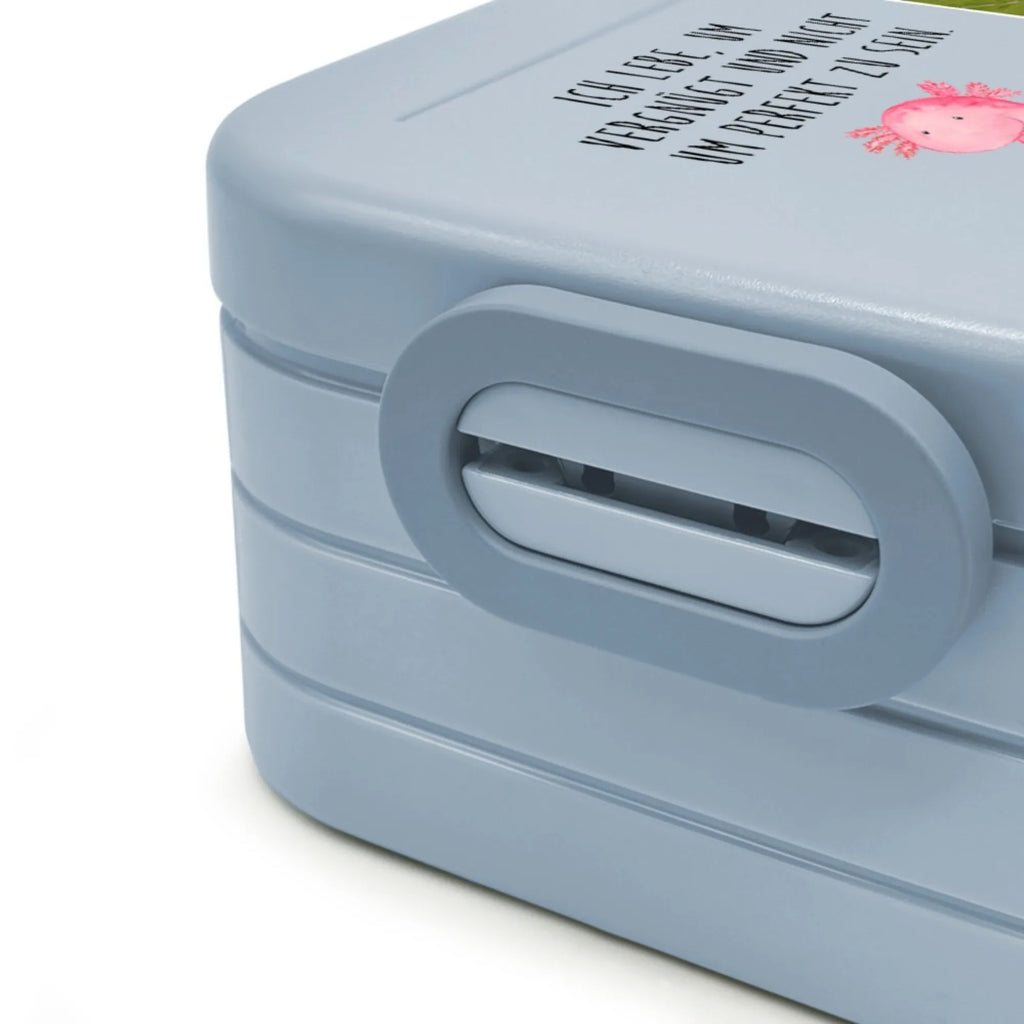 MEPAL Foto Bentobox Axolotl Niedlich Foto Brotdose, Foto Lunchbox, Foto Bentobox, Axolotl, Molch, Axolot, Lebensstil, Freundin, Weisheit, Liebe, zufrieden, fröhlich, Lebensweisheit, vergnügt