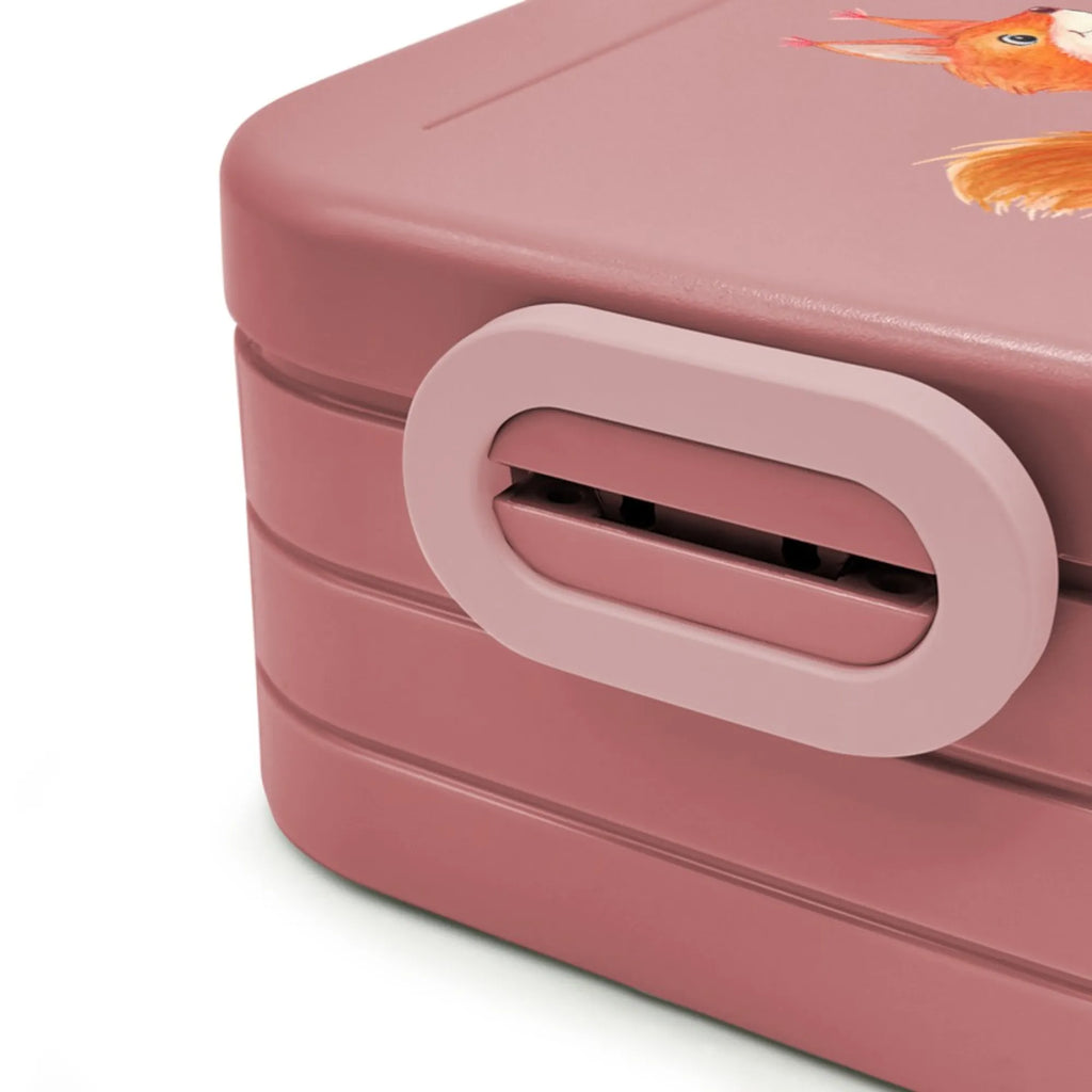 MEPAL Bentobox Eichhörnchen Blume Motiv Lunchbox, Brotdose, Bentobox, Tiermotive, Gute Laune, lustige Sprüche, Tiere, glücklich Spruch, Spruch positiv, Spaß, Lachen, Motivation Bilder, Motivation Sprüche, Eichhorn, Spruch Deko, Eichhörnchen