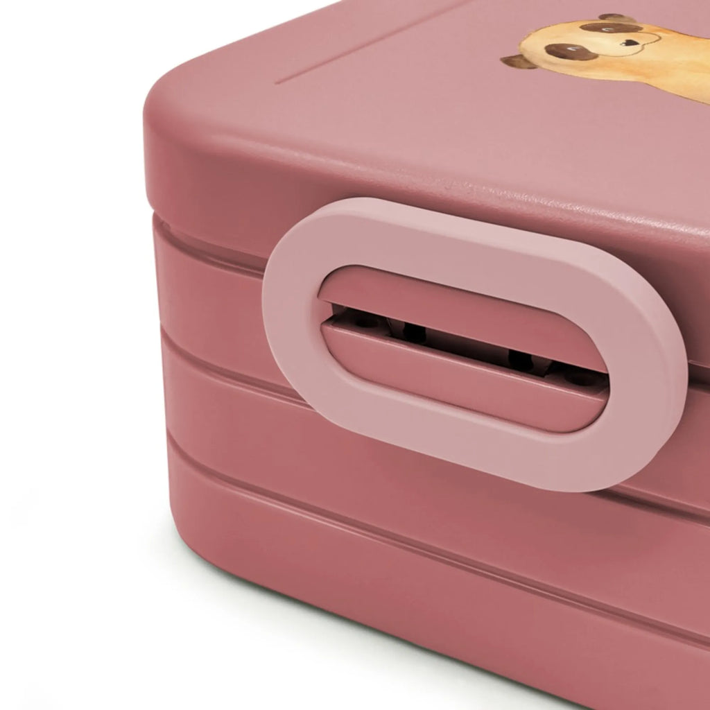 MEPAL Bentobox Erdmännchen Motiv Lunchbox, Brotdose, Bentobox, Afrika, Wildtiere, Weltreise, Reisen, Traveling, Spruch, Roadtrip, Afrikareise, Erdmännchen