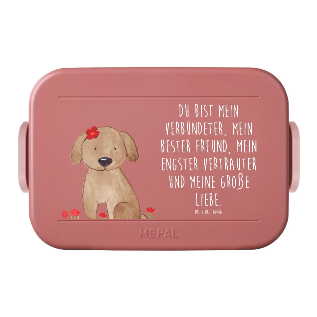 MEPAL Bentobox Hund Dame Motiv Lunchbox, Bentobox, Brotdose, Hund, Hundemotiv, Haustier, Hunderasse, Tierliebhaber, Hundebesitzer, Sprüche, Frauchen, Hunde, Liebe, Hundeglück, Hundeliebe