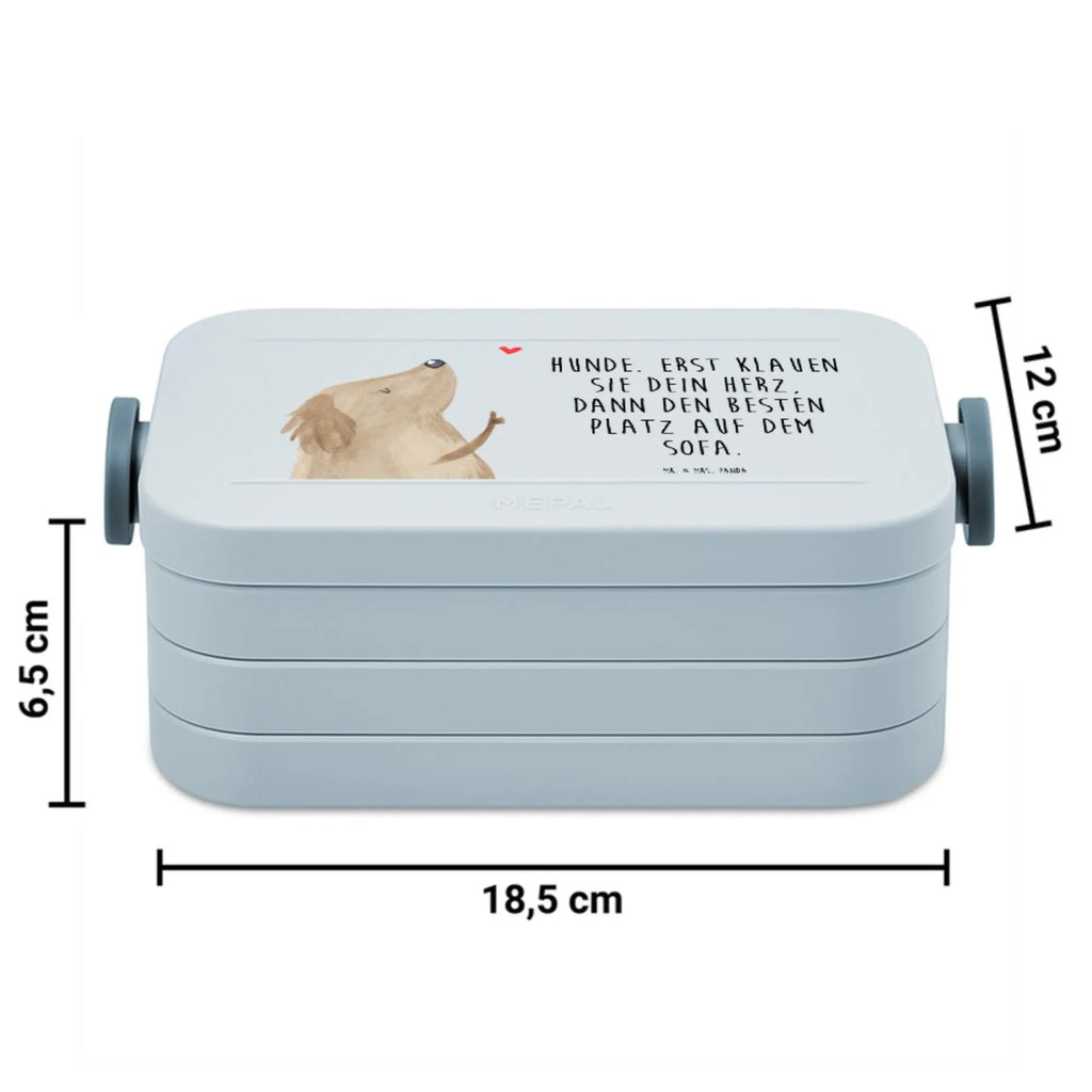 MEPAL Bentobox Hund Liebe Motiv Brotdose, Bentobox, Lunchbox, Hund, Hundemotiv, Haustier, Hunderasse, Tierliebhaber, Hundebesitzer, Sprüche, Hundeliebe, Hundeglück, Liebe, Frauchen, Hunde