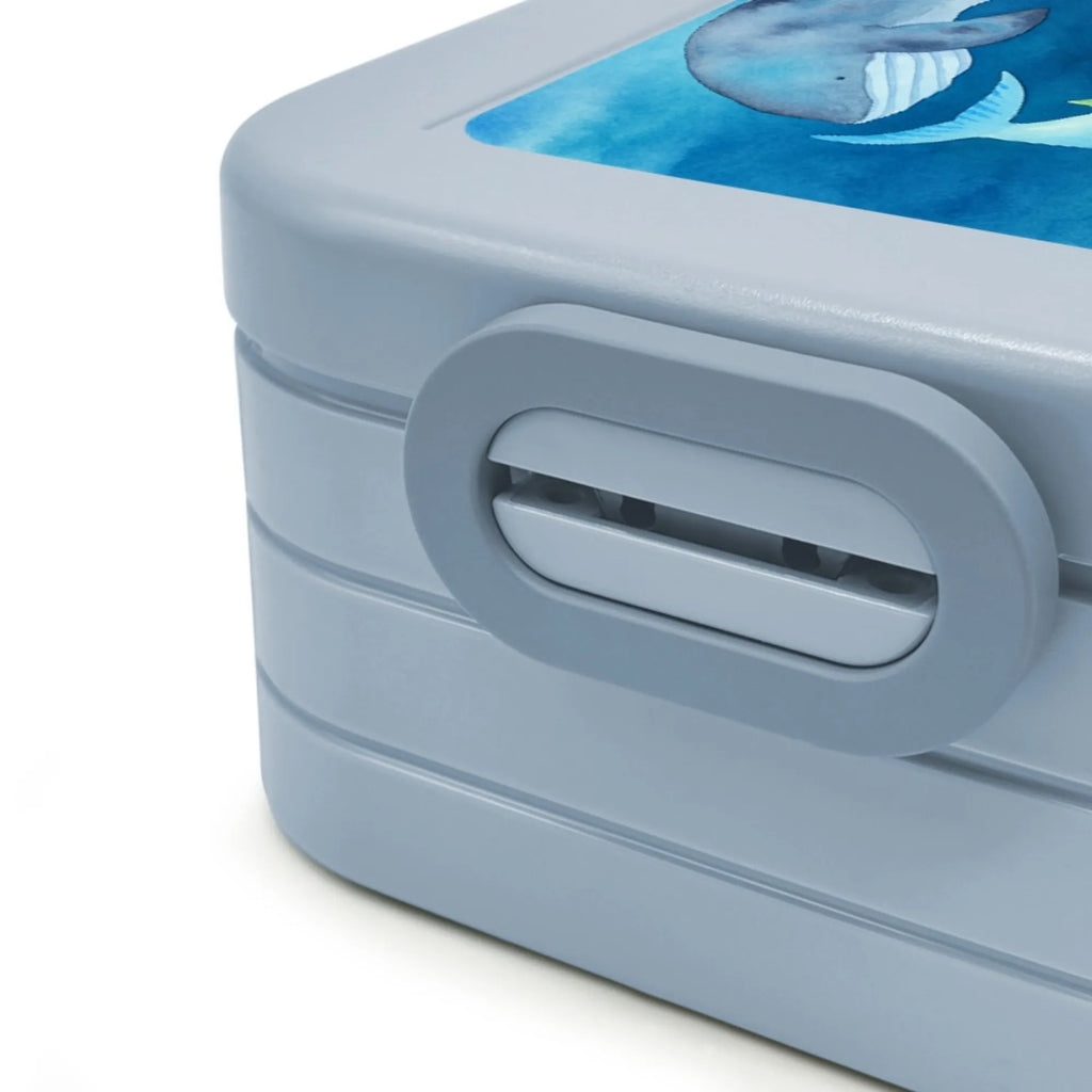 MEPAL Bentobox Walfisch Thunfisch Design Brotdose, Lunchbox, Bentobox, Tiermotive, Gute Laune, lustige Sprüche, Tiere, Wahl, Witz, Wortwitz lustig, Wal, Flachwitz Geschenk, Flachwitz, Spruch lustig, Spruch des Tages, Tunfisch