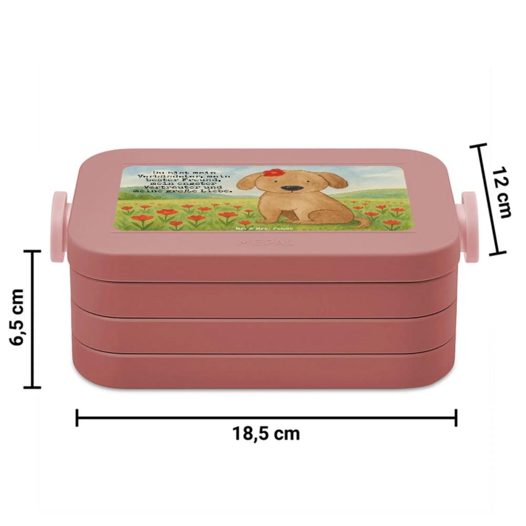 MEPAL Bentobox Hund Dame Design Brotdose, Bentobox, Lunchbox, Hund, Hundemotiv, Haustier, Hunderasse, Tierliebhaber, Hundebesitzer, Sprüche, Frauchen, Liebe, Hundeliebe, Hunde, Hundeglück