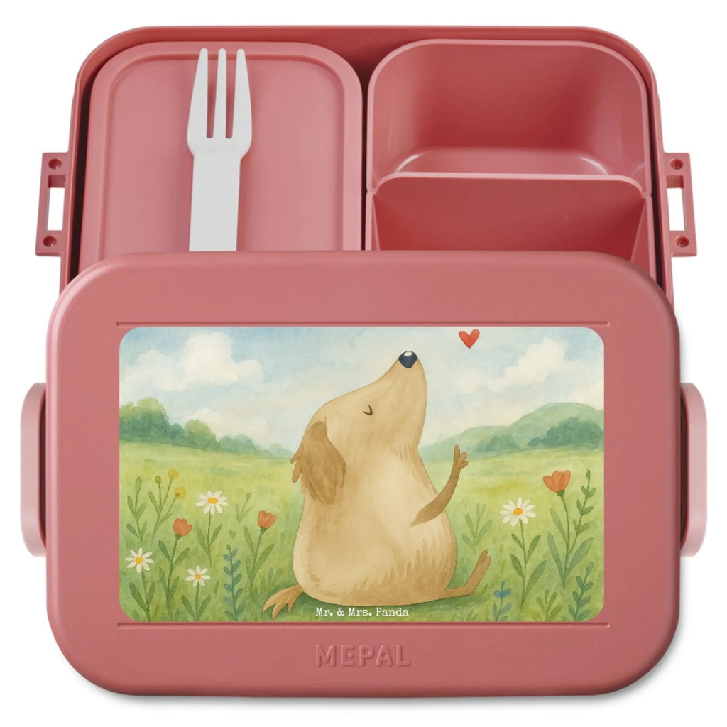 MEPAL Bentobox Hund Liebe Design Lunchbox, Brotdose, Bentobox, Hund, Hundemotiv, Haustier, Hunderasse, Tierliebhaber, Hundebesitzer, Sprüche, Hundeglück, Hunde, Frauchen, Hundeliebe, Liebe