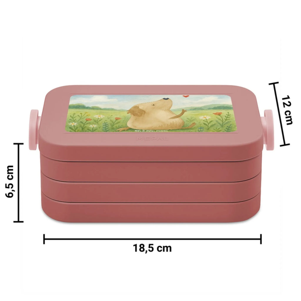 MEPAL Bentobox Hund Liebe Design Lunchbox, Brotdose, Bentobox, Hund, Hundemotiv, Haustier, Hunderasse, Tierliebhaber, Hundebesitzer, Sprüche, Hundeglück, Hunde, Frauchen, Hundeliebe, Liebe