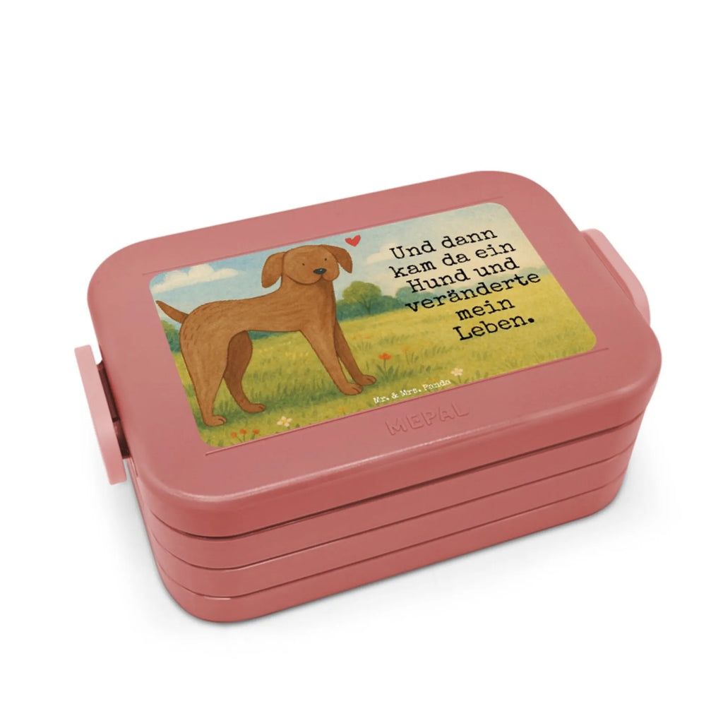 MEPAL Bentobox Hund Dogge Design Brotdose, Lunchbox, Bentobox, Hund, Hundemotiv, Haustier, Hunderasse, Tierliebhaber, Hundebesitzer, Sprüche, Dogge, Great Dane, Deutsche Dogge, Hunde