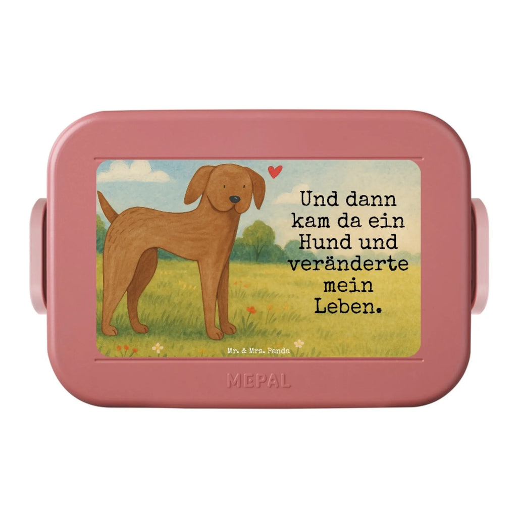 MEPAL Bentobox Hund Dogge Design Brotdose, Lunchbox, Bentobox, Hund, Hundemotiv, Haustier, Hunderasse, Tierliebhaber, Hundebesitzer, Sprüche, Dogge, Great Dane, Deutsche Dogge, Hunde