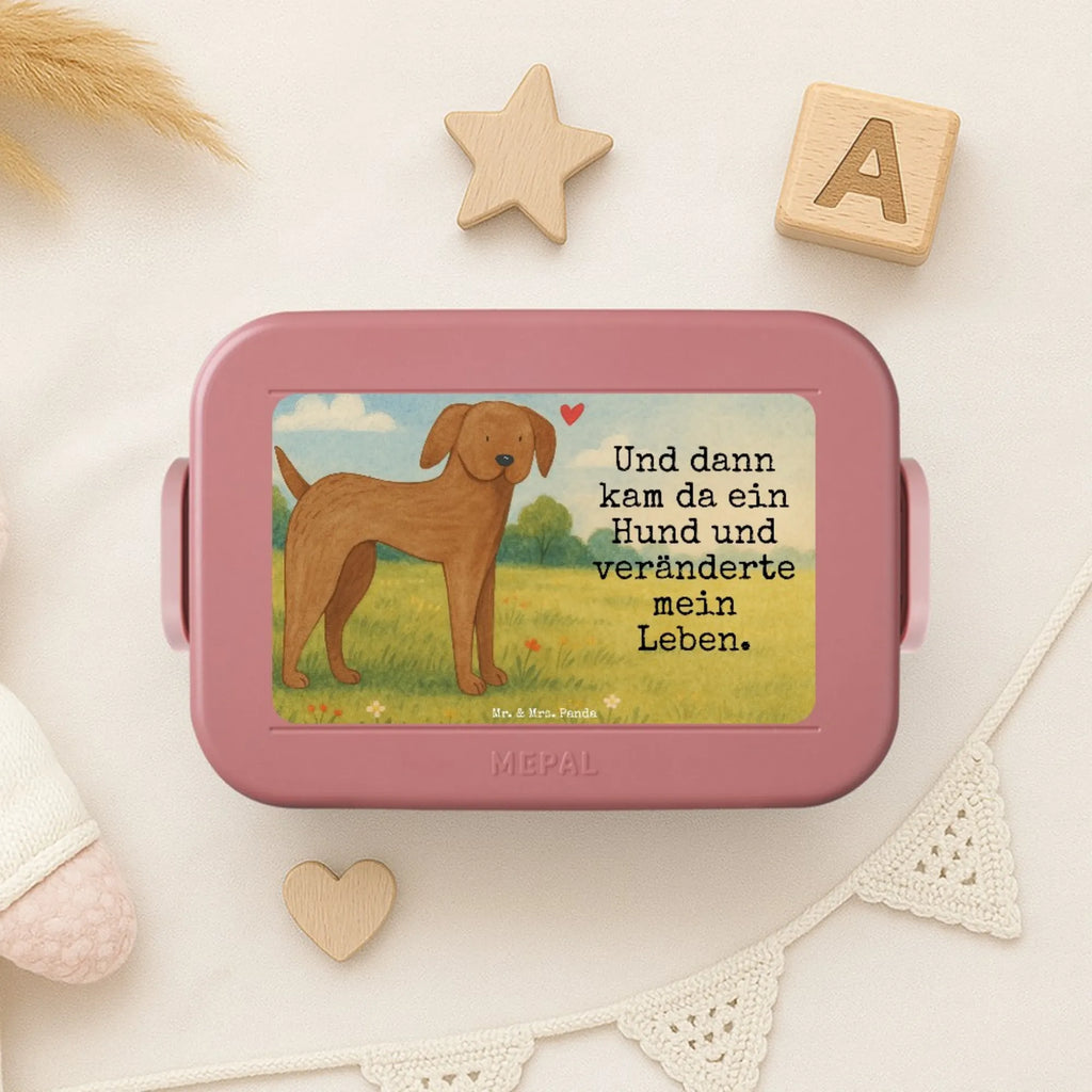 MEPAL Bentobox Hund Dogge Design Brotdose, Lunchbox, Bentobox, Hund, Hundemotiv, Haustier, Hunderasse, Tierliebhaber, Hundebesitzer, Sprüche, Dogge, Great Dane, Deutsche Dogge, Hunde