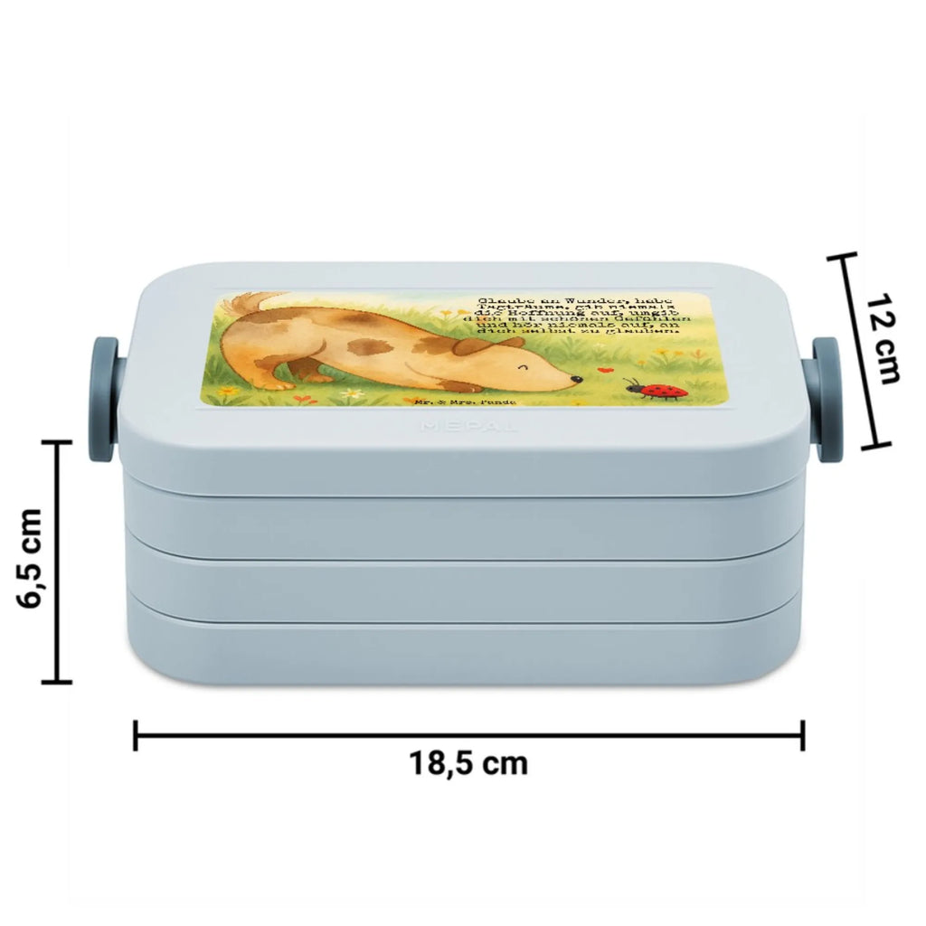 MEPAL Bentobox Hund Marienkäfer Design Brotdose, Bentobox, Lunchbox, Hund, Hundemotiv, Haustier, Hunderasse, Tierliebhaber, Hundebesitzer, Sprüche, Mischling, Mischlinghund, Hunde, Hundespruch, Marienkäfer