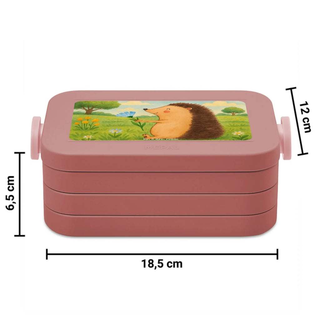 MEPAL Bentobox Igel Blumen Design Brotdose, Lunchbox, Bentobox, Tiermotive, Gute Laune, lustige Sprüche, Tiere, Gute Besserung, Genesungswünsche, Besuch, Krankheit, krank, Krankenhaus, Igel