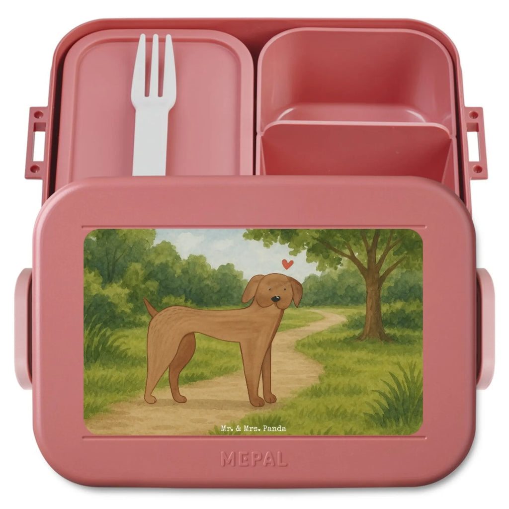 MEPAL Bentobox Hund Dogge Design Brotdose, Lunchbox, Bentobox, Hund, Hundemotiv, Haustier, Hunderasse, Tierliebhaber, Hundebesitzer, Sprüche, Dogge, Great Dane, Deutsche Dogge, Hunde