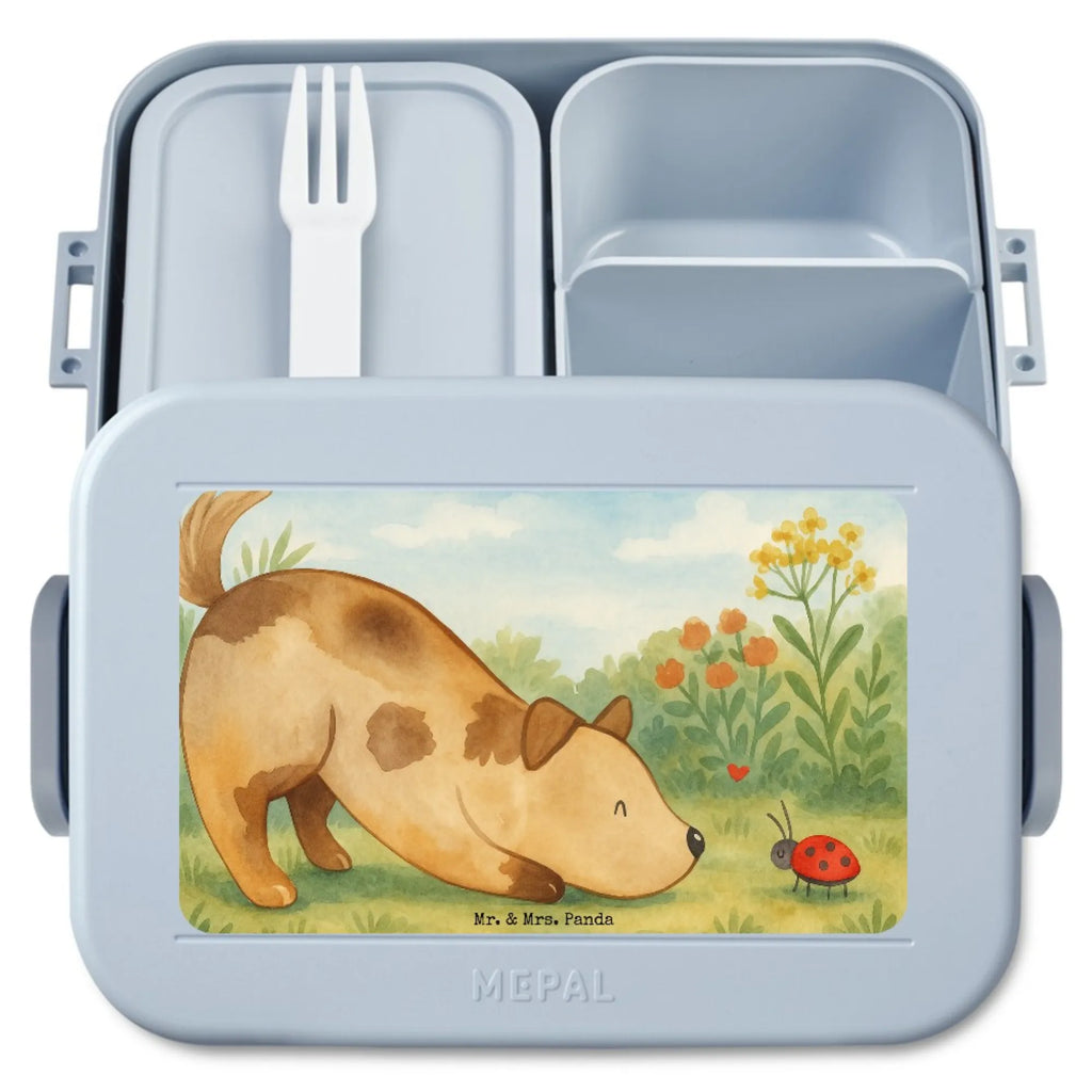 MEPAL Bentobox Hund Marienkäfer Design Brotdose, Bentobox, Lunchbox, Hund, Hundemotiv, Haustier, Hunderasse, Tierliebhaber, Hundebesitzer, Sprüche, Mischling, Mischlinghund, Hunde, Hundespruch, Marienkäfer