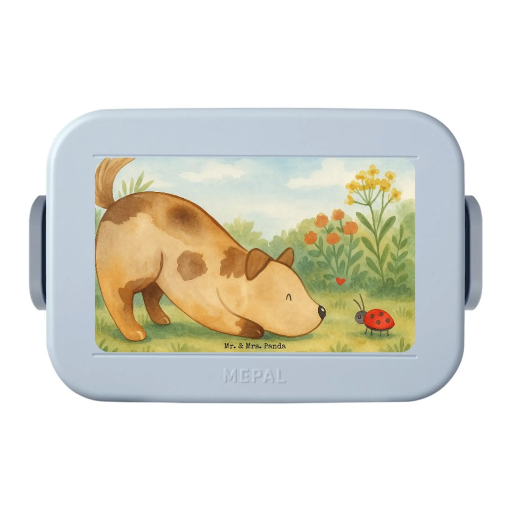 MEPAL Bentobox Hund Marienkäfer Design Brotdose, Bentobox, Lunchbox, Hund, Hundemotiv, Haustier, Hunderasse, Tierliebhaber, Hundebesitzer, Sprüche, Mischling, Mischlinghund, Hunde, Hundespruch, Marienkäfer