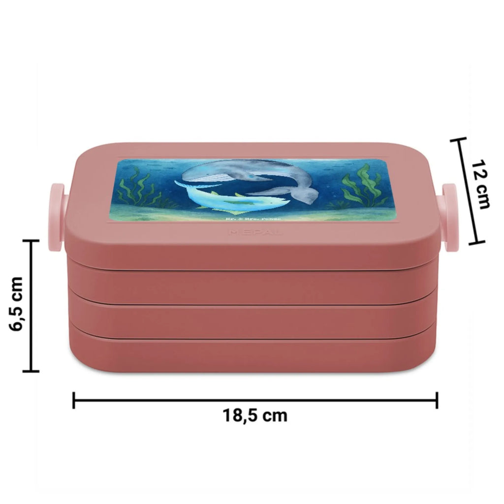 MEPAL Bentobox Walfisch Thunfisch Design Brotdose, Lunchbox, Bentobox, Tiermotive, Gute Laune, lustige Sprüche, Tiere, Wahl, Witz, Wortwitz lustig, Wal, Flachwitz Geschenk, Flachwitz, Spruch lustig, Spruch des Tages, Tunfisch