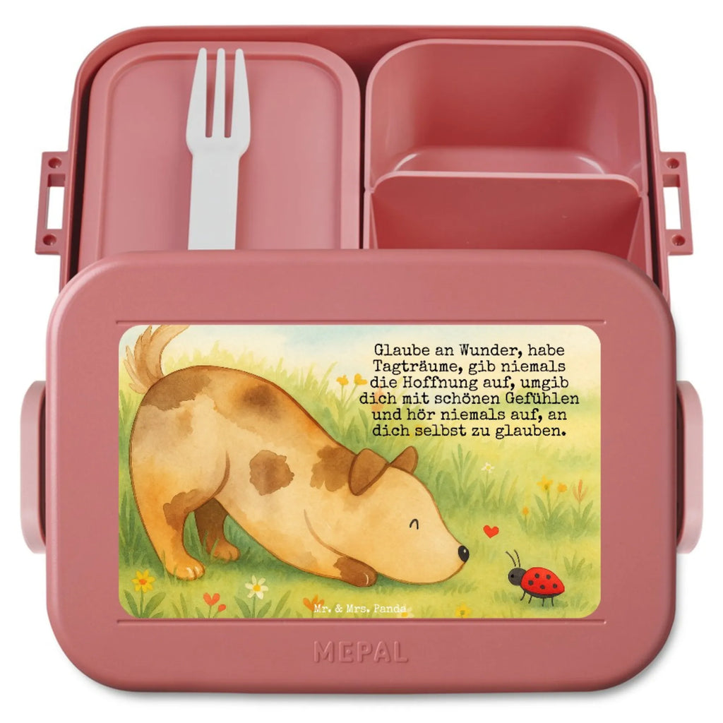 MEPAL Bentobox Hund Marienkäfer Design Brotdose, Bentobox, Lunchbox, Hund, Hundemotiv, Haustier, Hunderasse, Tierliebhaber, Hundebesitzer, Sprüche, Mischling, Mischlinghund, Hunde, Hundespruch, Marienkäfer