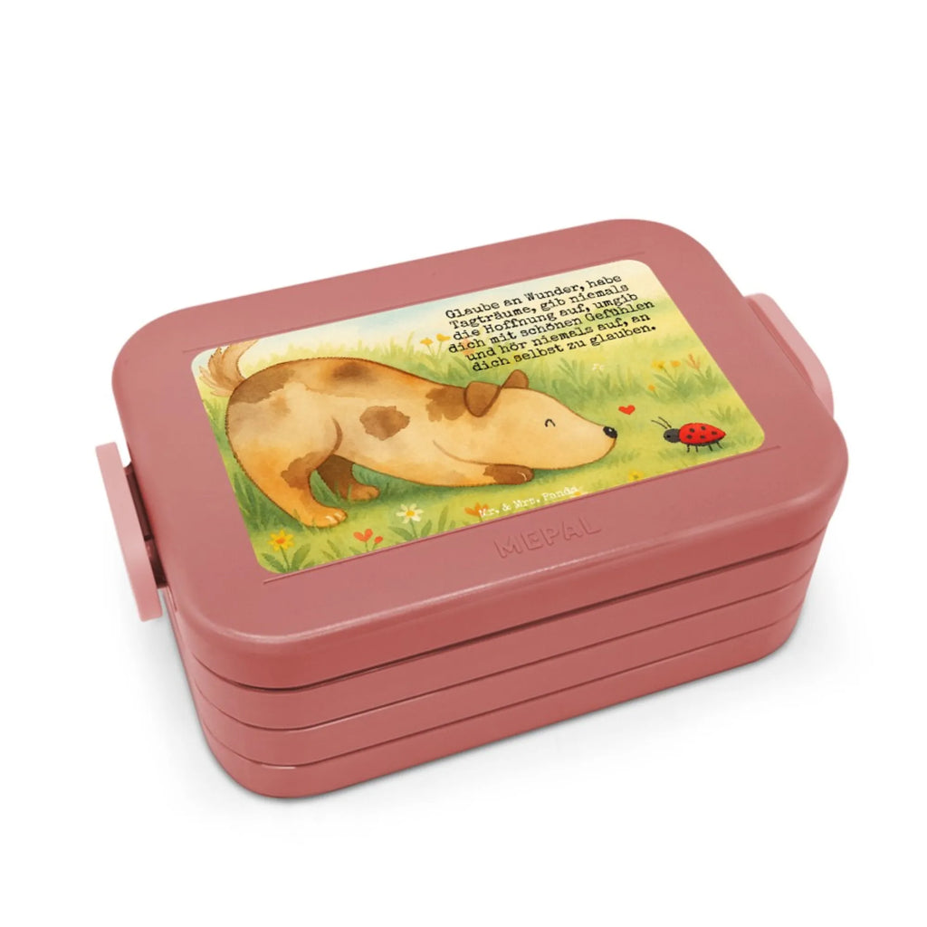 MEPAL Bentobox Hund Marienkäfer Design Brotdose, Bentobox, Lunchbox, Hund, Hundemotiv, Haustier, Hunderasse, Tierliebhaber, Hundebesitzer, Sprüche, Mischling, Mischlinghund, Hunde, Hundespruch, Marienkäfer