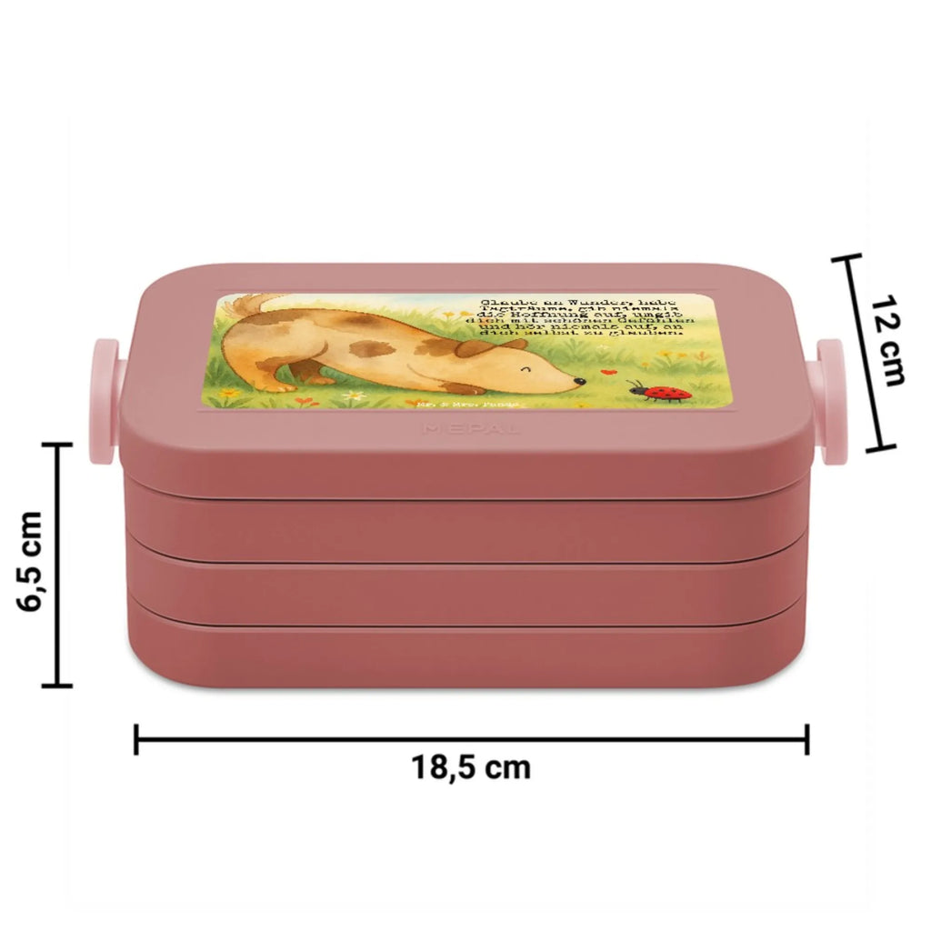 MEPAL Bentobox Hund Marienkäfer Design Brotdose, Bentobox, Lunchbox, Hund, Hundemotiv, Haustier, Hunderasse, Tierliebhaber, Hundebesitzer, Sprüche, Mischling, Mischlinghund, Hunde, Hundespruch, Marienkäfer