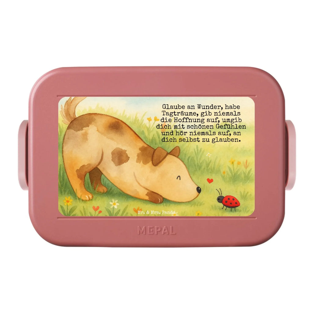 MEPAL Bentobox Hund Marienkäfer Design Brotdose, Bentobox, Lunchbox, Hund, Hundemotiv, Haustier, Hunderasse, Tierliebhaber, Hundebesitzer, Sprüche, Mischling, Mischlinghund, Hunde, Hundespruch, Marienkäfer