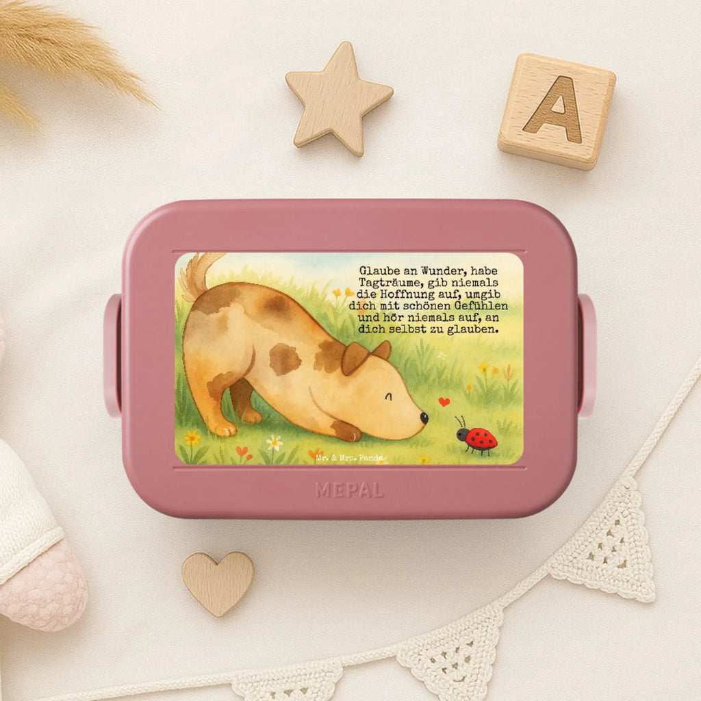 MEPAL Bentobox Hund Marienkäfer Design Brotdose, Bentobox, Lunchbox, Hund, Hundemotiv, Haustier, Hunderasse, Tierliebhaber, Hundebesitzer, Sprüche, Mischling, Mischlinghund, Hunde, Hundespruch, Marienkäfer