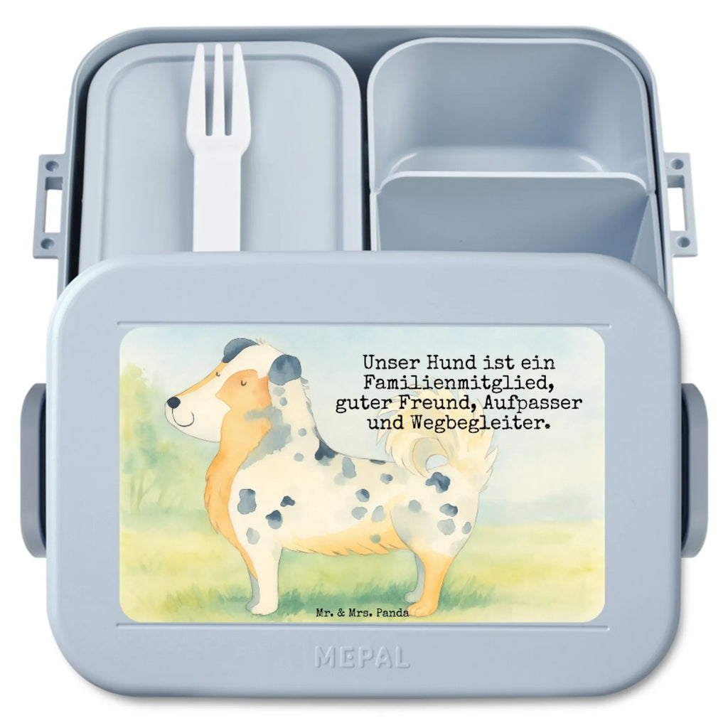 MEPAL Bentobox Hund Australien Shepherd Design Brotdose, Lunchbox, Bentobox, Hund, Hundemotiv, Haustier, Hunderasse, Tierliebhaber, Hundebesitzer, Sprüche, Australien Shepherd, Shepherd, Spruch, Hundeliebe, Familienhund