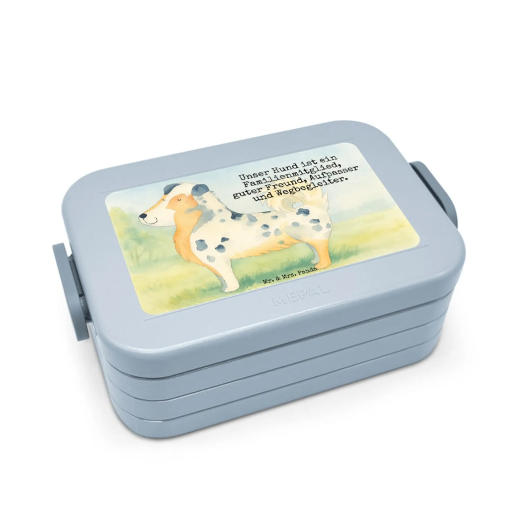 MEPAL Bentobox Hund Australien Shepherd Design Brotdose, Lunchbox, Bentobox, Hund, Hundemotiv, Haustier, Hunderasse, Tierliebhaber, Hundebesitzer, Sprüche, Australien Shepherd, Shepherd, Spruch, Hundeliebe, Familienhund