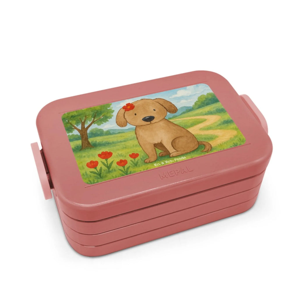 MEPAL Bentobox Hund Dame Design Brotdose, Bentobox, Lunchbox, Hund, Hundemotiv, Haustier, Hunderasse, Tierliebhaber, Hundebesitzer, Sprüche, Frauchen, Liebe, Hundeliebe, Hunde, Hundeglück