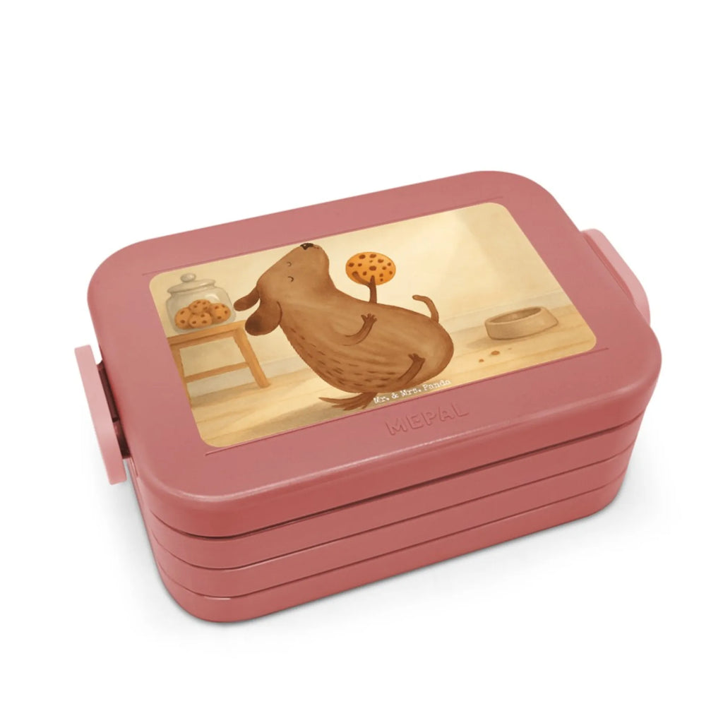 MEPAL Bentobox Hund Keks Design Brotdose, Bentobox, Lunchbox, Hund, Hundemotiv, Haustier, Hunderasse, Tierliebhaber, Hundebesitzer, Sprüche, Hundesnacks, Hundekekse, Leckerli, Hundeleckerli