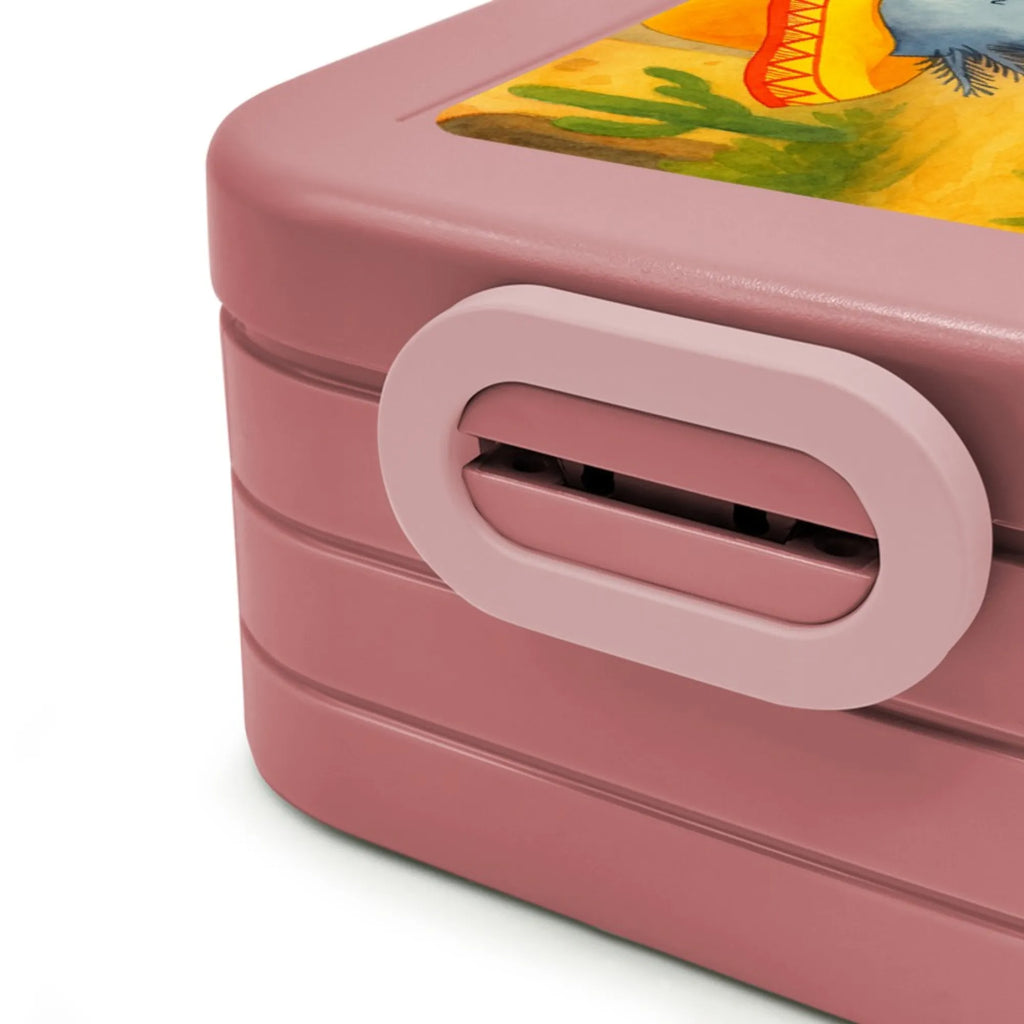 MEPAL Bentobox Axolotl Tequila Design Lunchbox, Bentobox, Brotdose, Axolotl, Molch, Feuerdrache, Tequila, Lurche, Mexico, Sombrero, Schwanzlurch, Zitrone, Lurch, Spruch, Axolot, Motivation, Mexiko, Feuersalamander