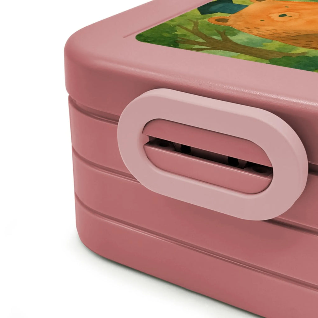 MEPAL Bentobox Bär Prüfung Design Brotdose, Bentobox, Lunchbox, Bär, Teddy, Teddybär, Abschluss, Prüfungen, Abschlusszeugnis, Zeugnis, Abitur, Prüfung bestanden