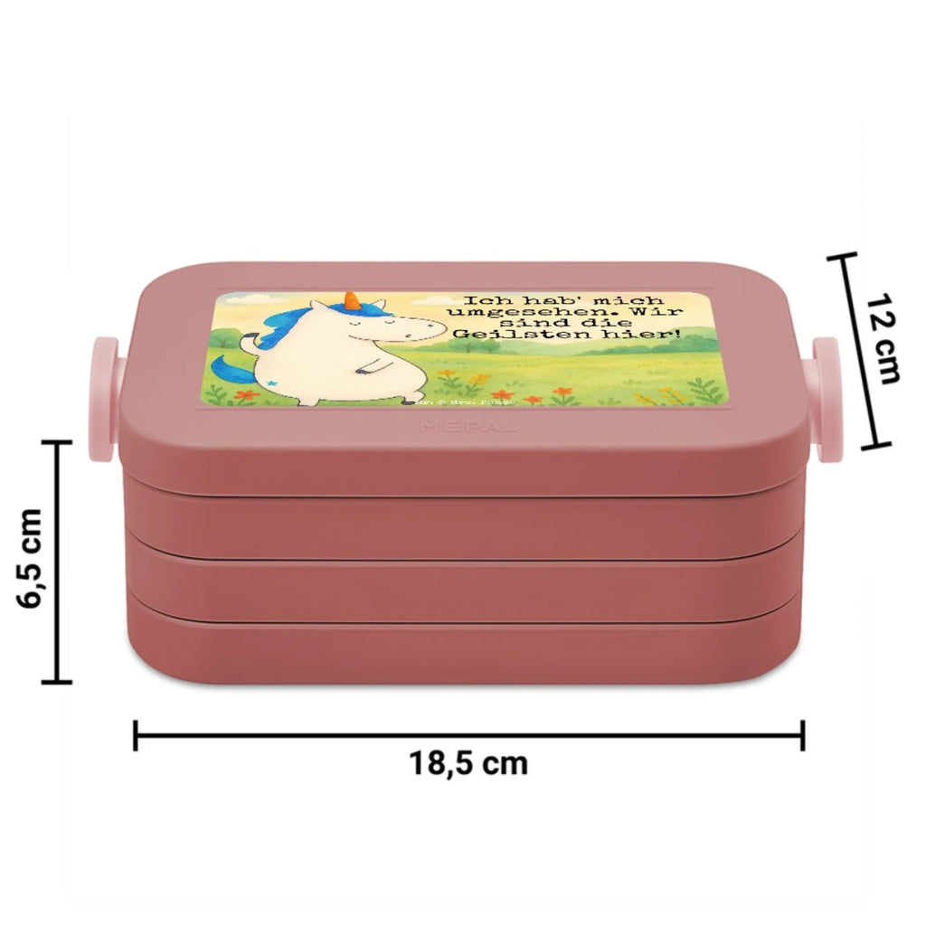 MEPAL Bentobox Einhorn Mann Design Brotdose, Bentobox, Lunchbox, Einhorn, Einhörner, Einhorn Deko, Unicorn, Freundin, beste, Mann, cool, Party, hübsch, bester Freund, BFF, Familie