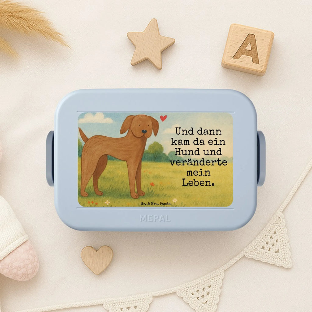 MEPAL Bentobox Hund Dogge Design Brotdose, Lunchbox, Bentobox, Hund, Hundemotiv, Haustier, Hunderasse, Tierliebhaber, Hundebesitzer, Sprüche, Dogge, Great Dane, Deutsche Dogge, Hunde