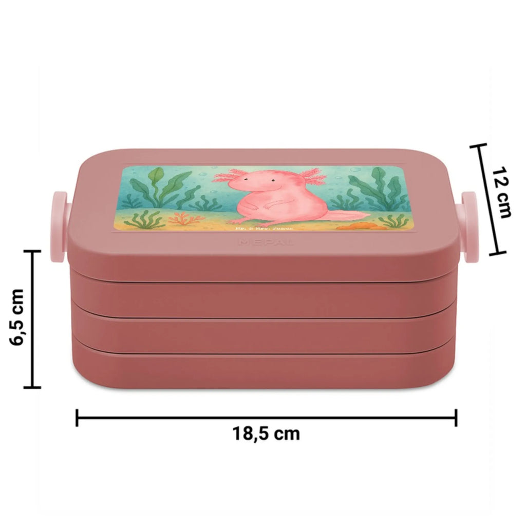 MEPAL Bentobox Axolotl Niedlich Design Bentobox, Lunchbox, Brotdose, Axolotl, Molch, fröhlich, vergnügt, zufrieden, Weisheit, Lebensweisheit, Liebe, Axolot, Lebensstil, Freundin
