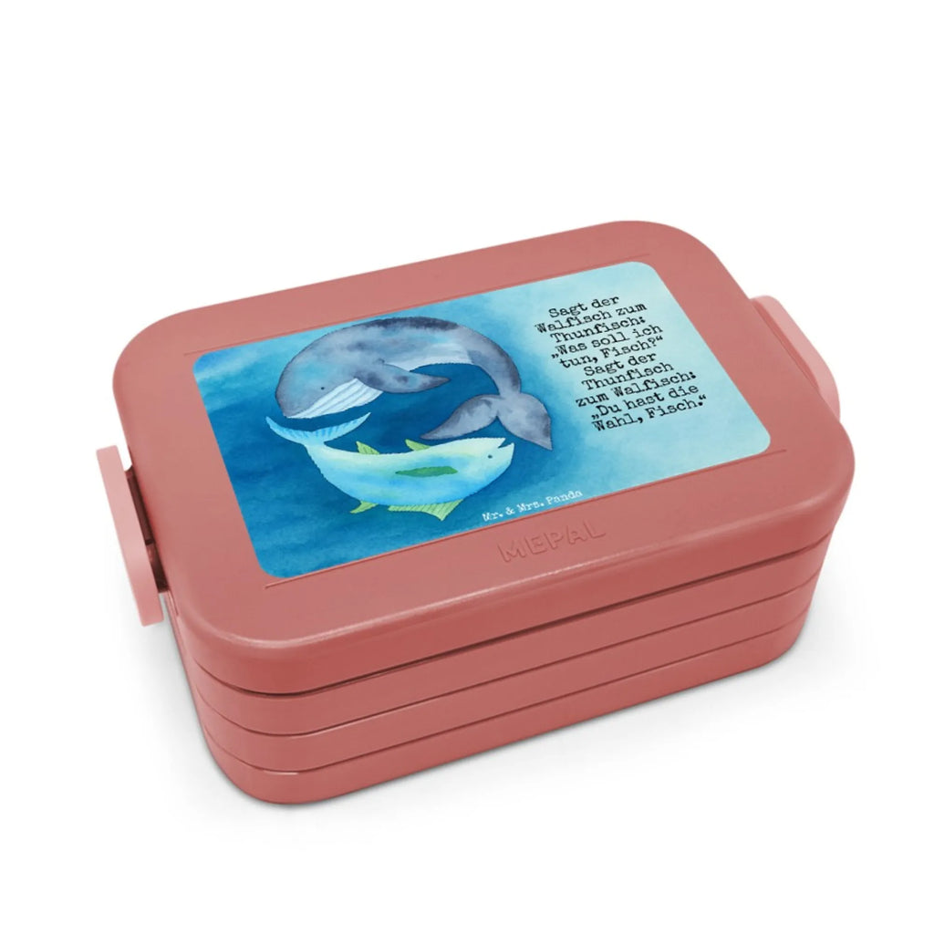 MEPAL Bentobox Walfisch Thunfisch Design Brotdose, Lunchbox, Bentobox, Tiermotive, Gute Laune, lustige Sprüche, Tiere, Wahl, Witz, Wortwitz lustig, Wal, Flachwitz Geschenk, Flachwitz, Spruch lustig, Spruch des Tages, Tunfisch