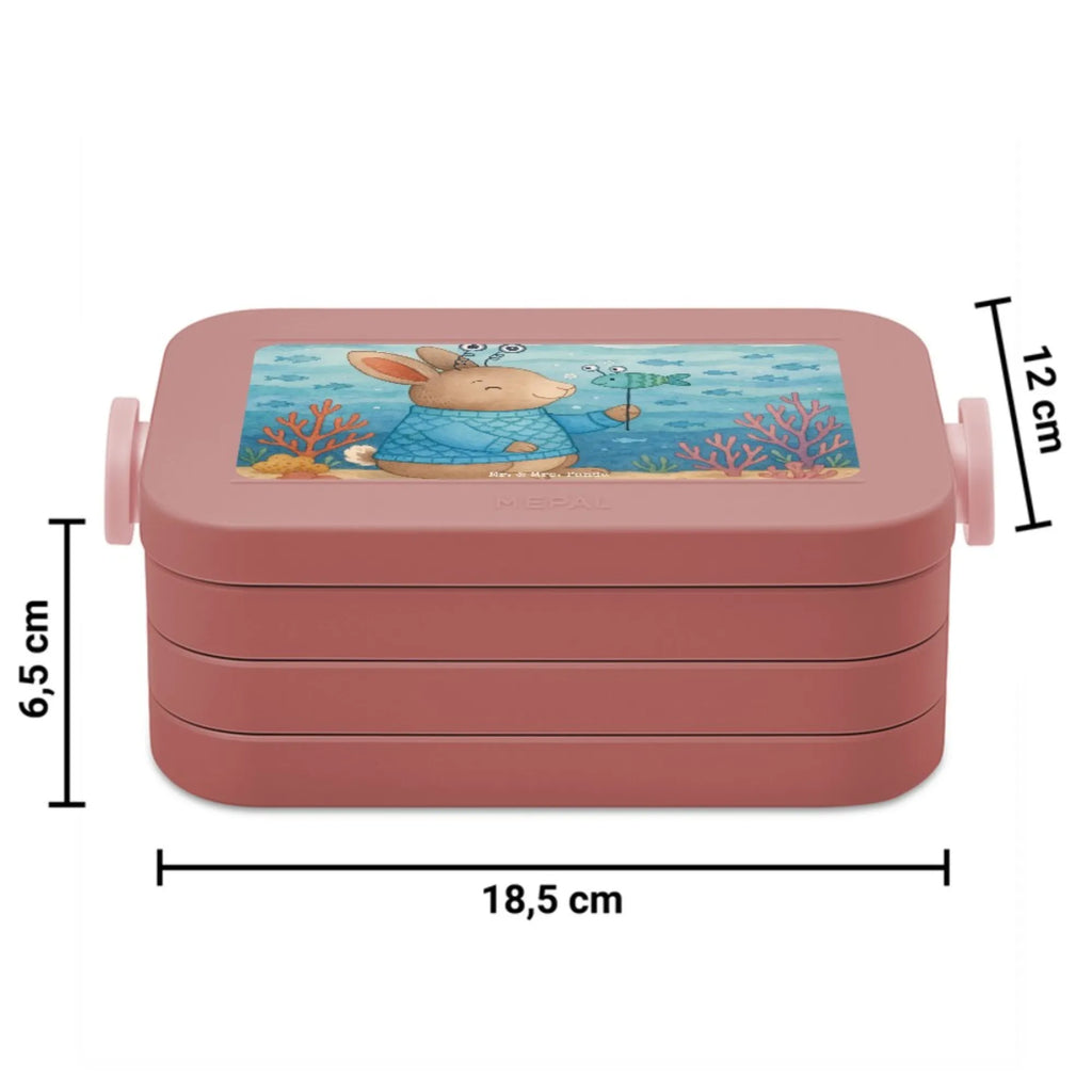 MEPAL Bentobox Fische Astrologie Design Brotdose, Lunchbox, Bentobox, Tierkreiszeichen, Sternzeichen, Horoskop, Astrologie, Aszendent, Geschenkidee zum Geburtstag, Geburtstagsgeschenk, Fischer