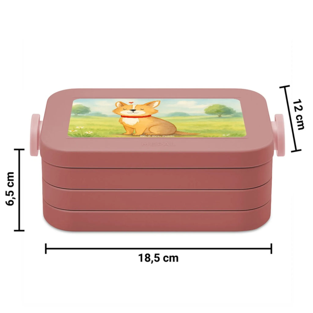 MEPAL Bentobox Hund Glück Design Brotdose, Bentobox, Lunchbox, Hund, Hundemotiv, Haustier, Hunderasse, Tierliebhaber, Hundebesitzer, Sprüche, Spruch, Liebe, Hundeliebe, Corgie, Hundemama