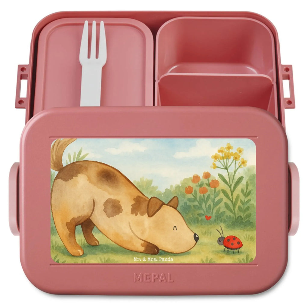 MEPAL Bentobox Hund Marienkäfer Design Brotdose, Bentobox, Lunchbox, Hund, Hundemotiv, Haustier, Hunderasse, Tierliebhaber, Hundebesitzer, Sprüche, Mischling, Mischlinghund, Hunde, Hundespruch, Marienkäfer