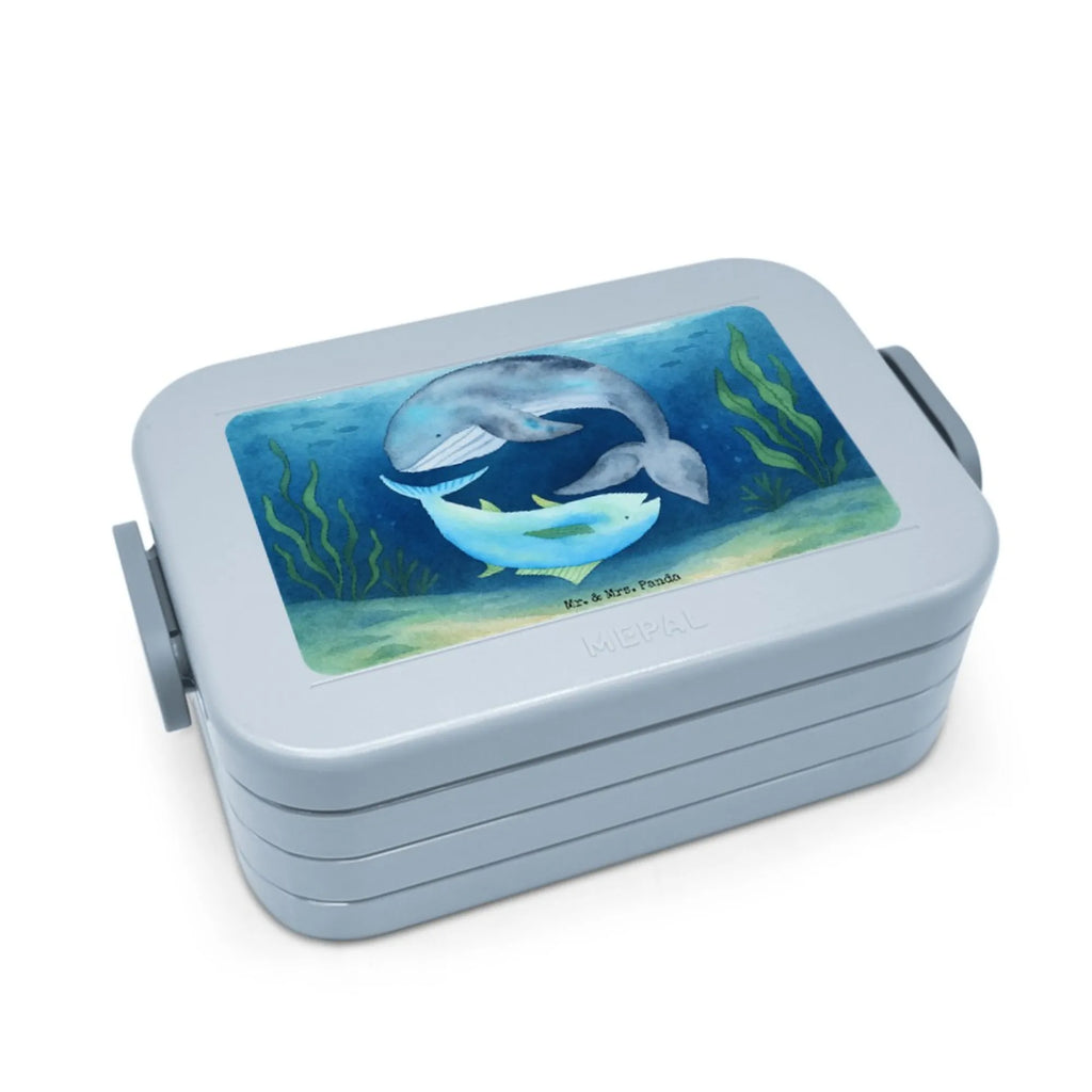 MEPAL Bentobox Walfisch Thunfisch Design Brotdose, Lunchbox, Bentobox, Tiermotive, Gute Laune, lustige Sprüche, Tiere, Wahl, Witz, Wortwitz lustig, Wal, Flachwitz Geschenk, Flachwitz, Spruch lustig, Spruch des Tages, Tunfisch