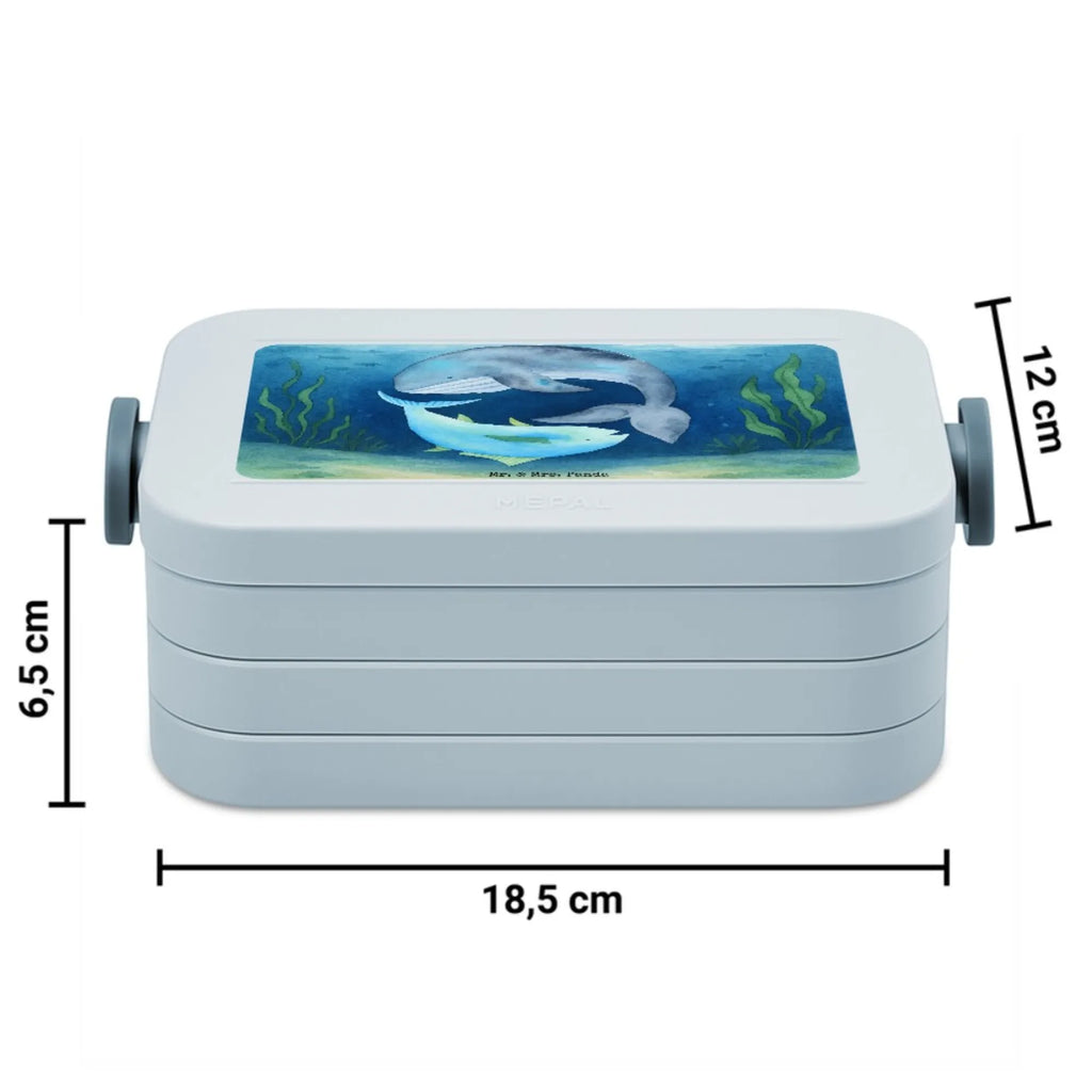 MEPAL Bentobox Walfisch Thunfisch Design Brotdose, Lunchbox, Bentobox, Tiermotive, Gute Laune, lustige Sprüche, Tiere, Wahl, Witz, Wortwitz lustig, Wal, Flachwitz Geschenk, Flachwitz, Spruch lustig, Spruch des Tages, Tunfisch