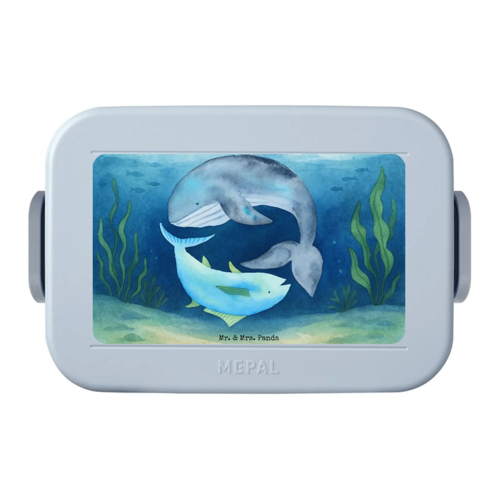 MEPAL Bentobox Walfisch Thunfisch Design Brotdose, Lunchbox, Bentobox, Tiermotive, Gute Laune, lustige Sprüche, Tiere, Wahl, Witz, Wortwitz lustig, Wal, Flachwitz Geschenk, Flachwitz, Spruch lustig, Spruch des Tages, Tunfisch