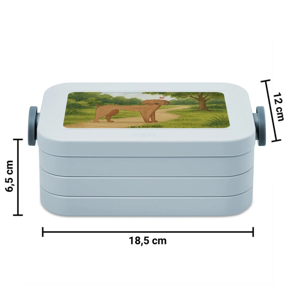 MEPAL Bentobox Hund Dogge Design Brotdose, Lunchbox, Bentobox, Hund, Hundemotiv, Haustier, Hunderasse, Tierliebhaber, Hundebesitzer, Sprüche, Dogge, Great Dane, Deutsche Dogge, Hunde
