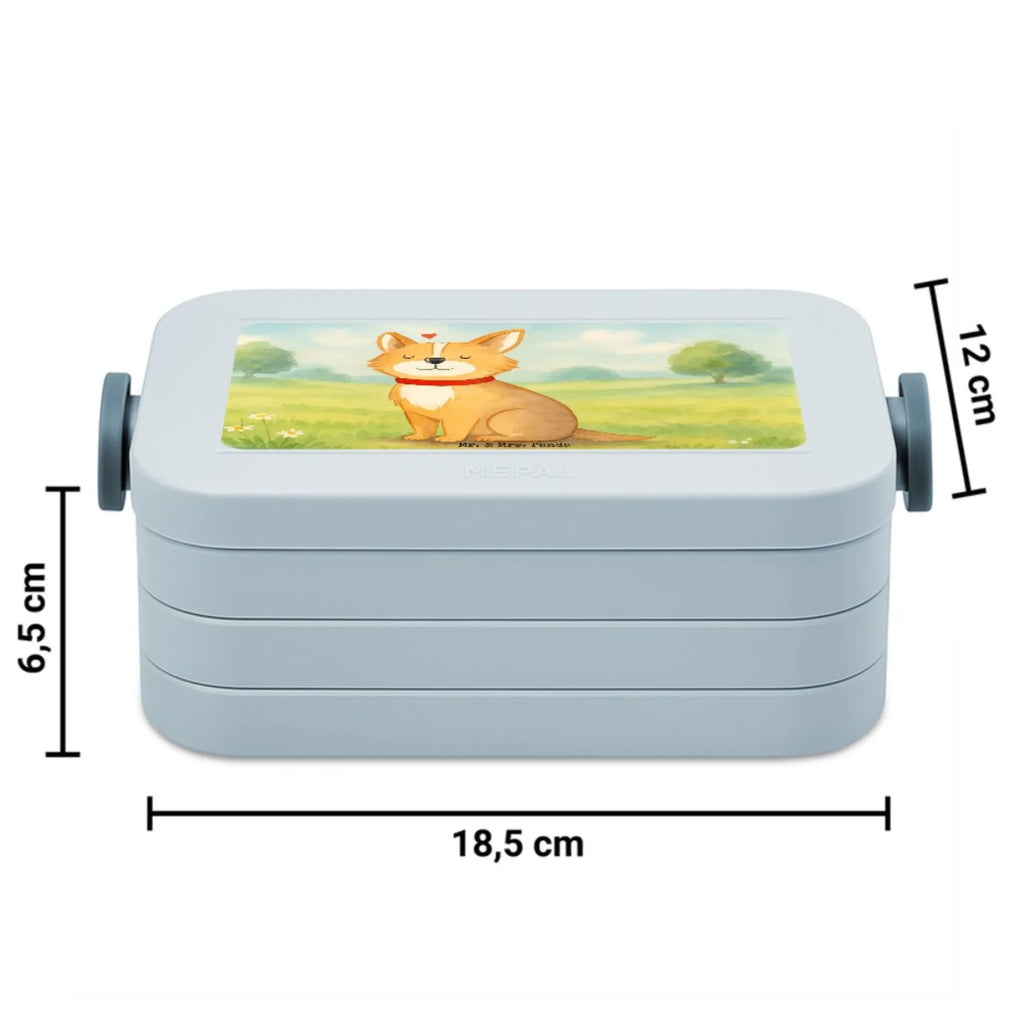 MEPAL Bentobox Hund Glück Design Brotdose, Bentobox, Lunchbox, Hund, Hundemotiv, Haustier, Hunderasse, Tierliebhaber, Hundebesitzer, Sprüche, Spruch, Liebe, Hundeliebe, Corgie, Hundemama