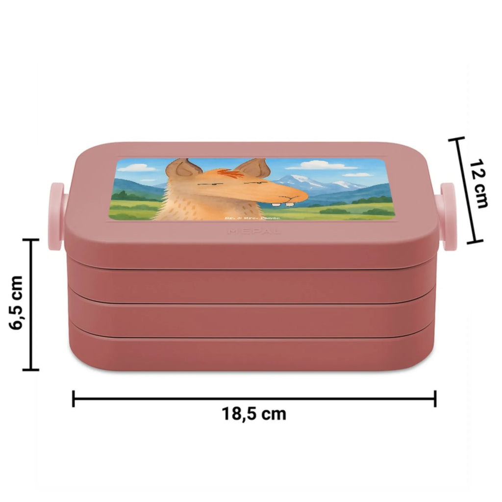 MEPAL Bentobox Lamakopf Genervt Design Lunchbox, Brotdose, Bentobox, Lama, Alpaka, Lamas, Büro, Büroalltag, Azubi, Chef, Chefin, genervt sein, Partnerin, Freundin, beste Freundin, Recht haben