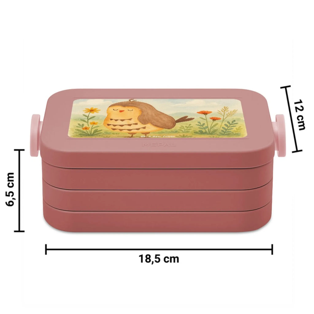 MEPAL Bentobox Eule Zufrieden Design Bentobox, Brotdose, Lunchbox, Eule, Romantisch, Spruch schön, Geschenk Hochzeitstag, Eule deko, Owl, Eule Spruch, Wortspiel lustig, Liebe Spruch