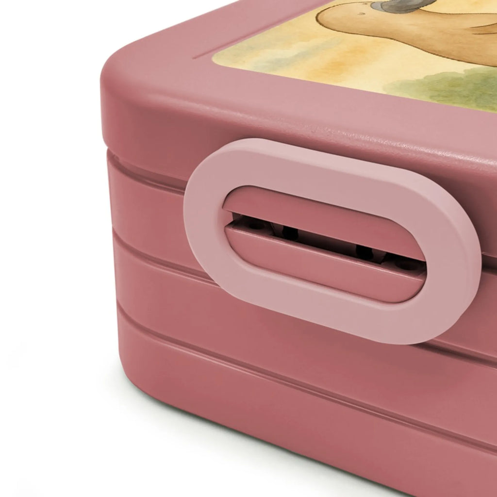 MEPAL Bentobox Schnabeltier Mut Design Brotdose, Bentobox, Lunchbox, Meerestiere, Meer, Urlaub, Schnabeltiere, Weltreise, Neustart, Büro, Neuanfang, Schnabeltier, Raodtrip, Arbeit, Motivation, mutig, Lebensweisheit, Mut, Training