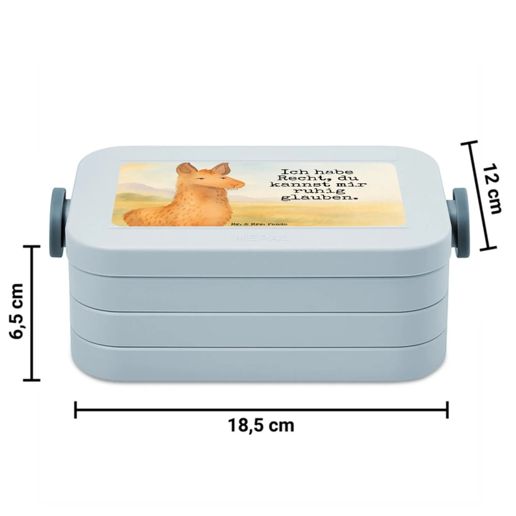 MEPAL Bentobox Lamakopf Genervt Design Lunchbox, Brotdose, Bentobox, Lama, Alpaka, Lamas, Büro, Büroalltag, Azubi, Chef, Chefin, genervt sein, Partnerin, Freundin, beste Freundin, Recht haben