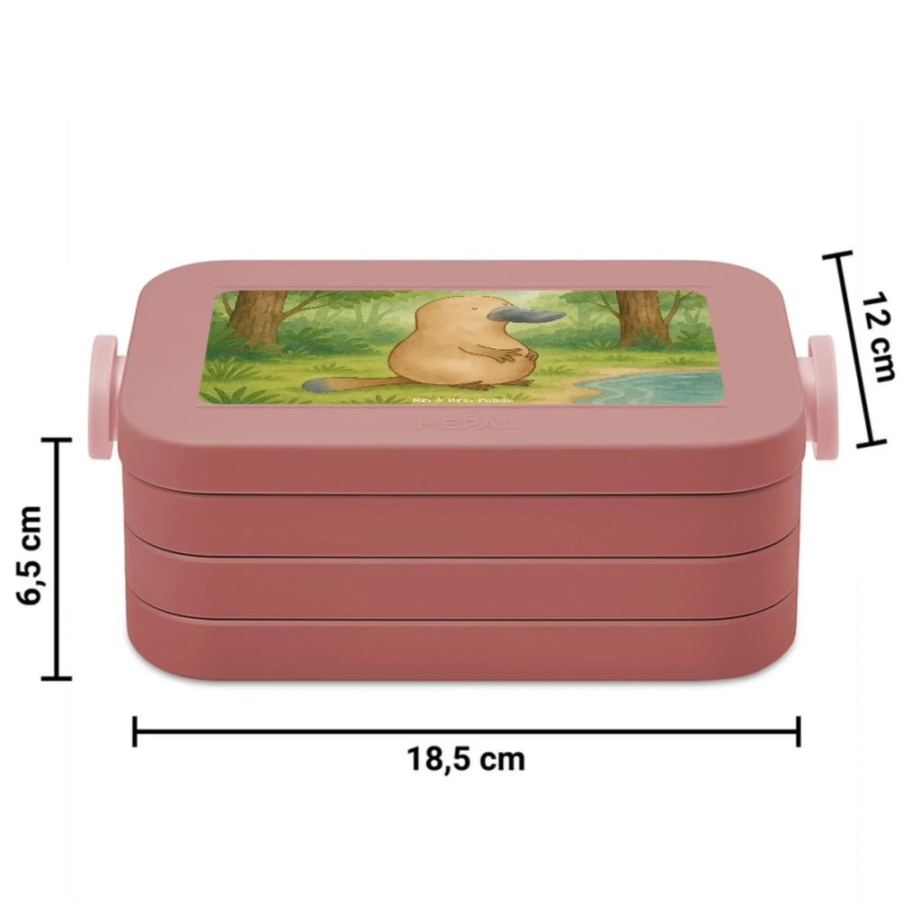 MEPAL Bentobox Schnabeltier Mut Design Brotdose, Bentobox, Lunchbox, Meerestiere, Meer, Urlaub, Schnabeltiere, Weltreise, Neustart, Büro, Neuanfang, Schnabeltier, Raodtrip, Arbeit, Motivation, mutig, Lebensweisheit, Mut, Training