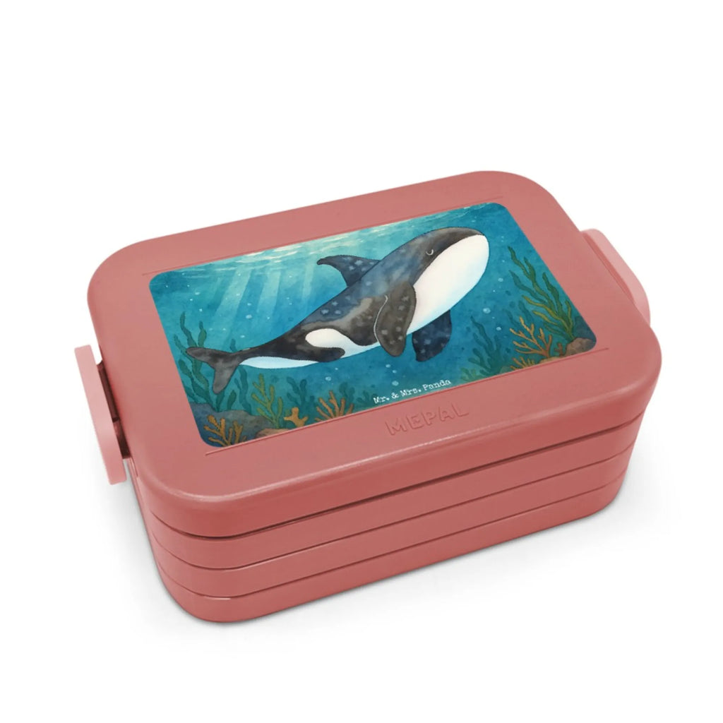 MEPAL Bentobox Orca Design Brotdose, Lunchbox, Bentobox, Meerestiere, Meer, Urlaub, Killerwal, Startup, Möglichkeiten, Büro, Arbeit, Motivation, Wal, Orca, Selbstliebe, Neustart, Orcas