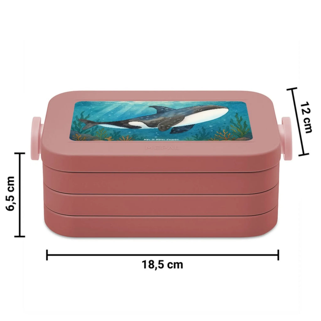 MEPAL Bentobox Orca Design Brotdose, Lunchbox, Bentobox, Meerestiere, Meer, Urlaub, Killerwal, Startup, Möglichkeiten, Büro, Arbeit, Motivation, Wal, Orca, Selbstliebe, Neustart, Orcas
