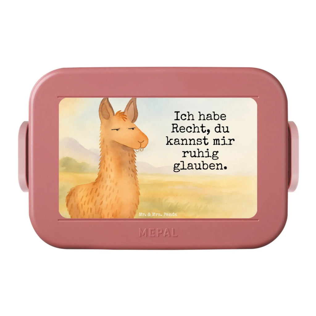 MEPAL Bentobox Lamakopf Genervt Design Lunchbox, Brotdose, Bentobox, Lama, Alpaka, Lamas, Büro, Büroalltag, Azubi, Chef, Chefin, genervt sein, Partnerin, Freundin, beste Freundin, Recht haben